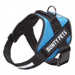 Bunty Yukon Harness - Blue